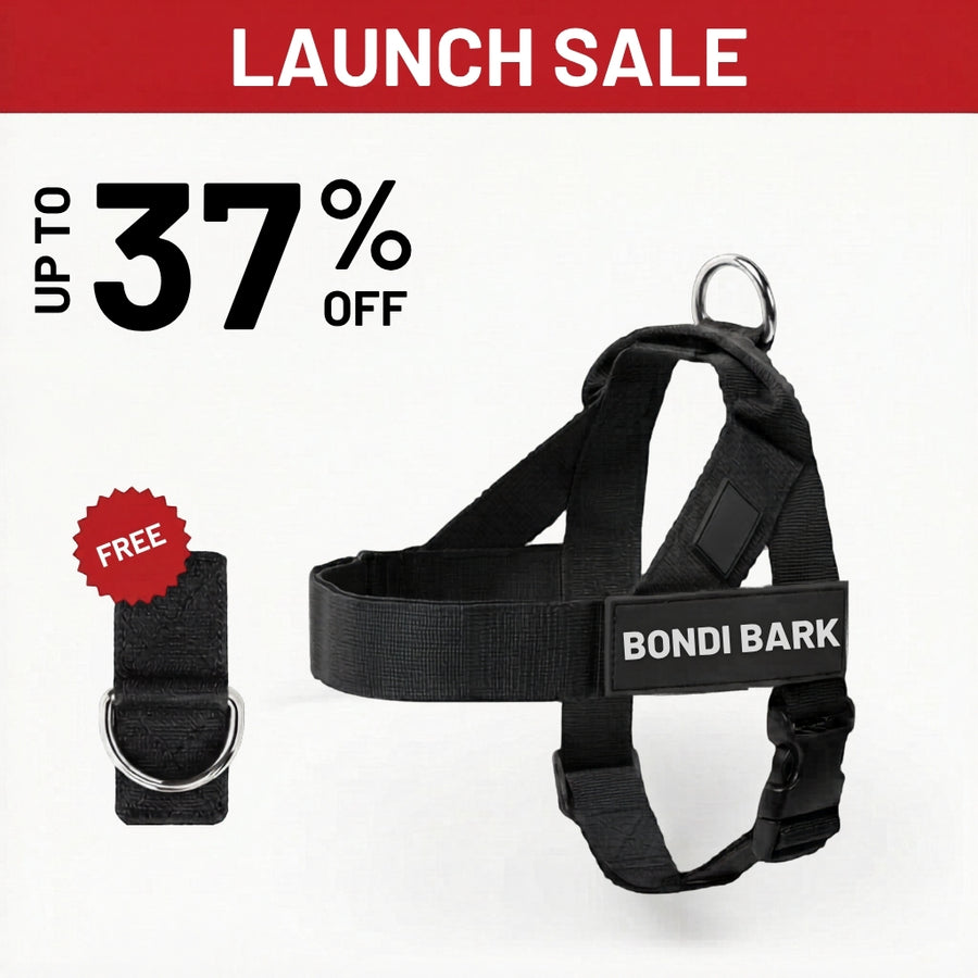 Bondi Bark Walk Kit packshot