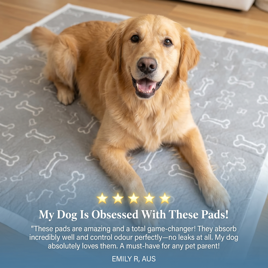 Rotation Pack — 2 Pads