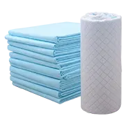 Disposable Pads