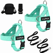 Dog Harness + FREE D-Ring