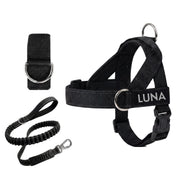 Dog Harness + FREE D-Ring