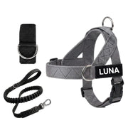 Dog Harness + FREE D-Ring