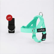 Dog Harness + FREE D-Ring