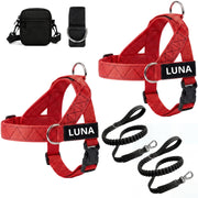 Dog Harness + FREE D-Ring