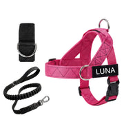 Dog Harness + FREE D-Ring