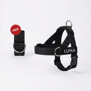 Dog Harness + FREE D-Ring