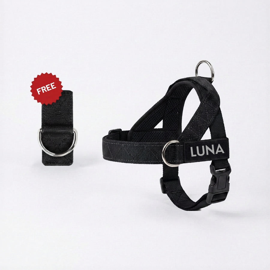 Dog Harness + FREE D-Ring