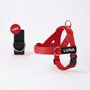 Dog Harness + FREE D-Ring