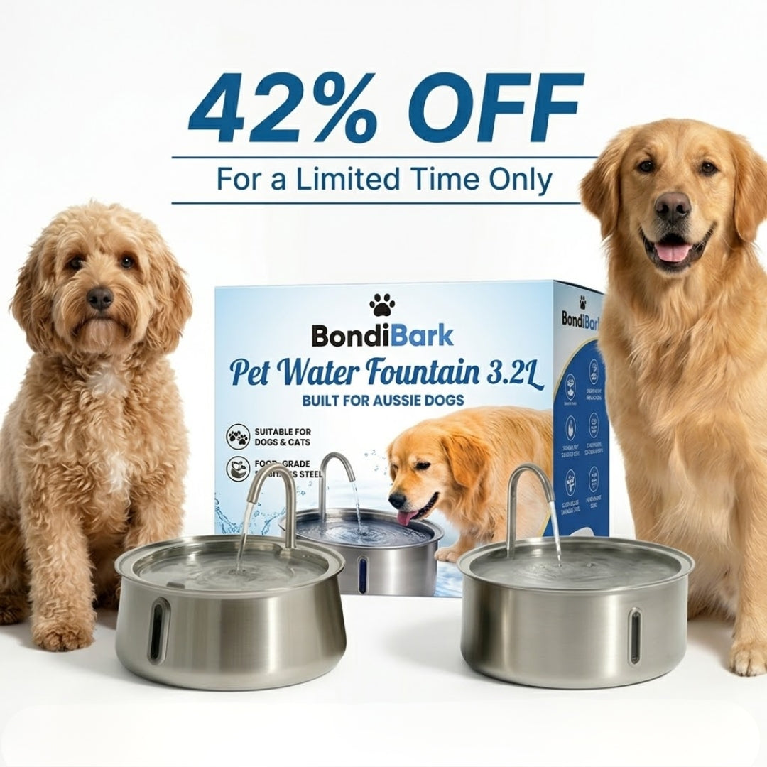 Pet Water Fountain 3.2L