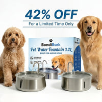 Pet Water Fountain 3.2L
