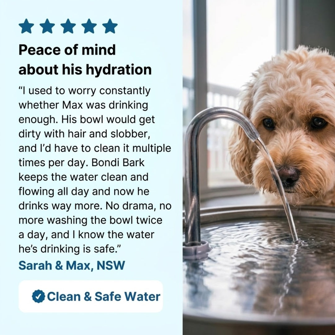 Pet Water Fountain 3.2L
