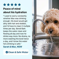 Pet Water Fountain 3.2L