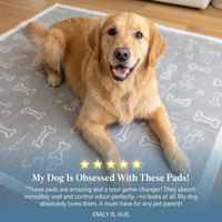 Rotation Pack — 2 Pads