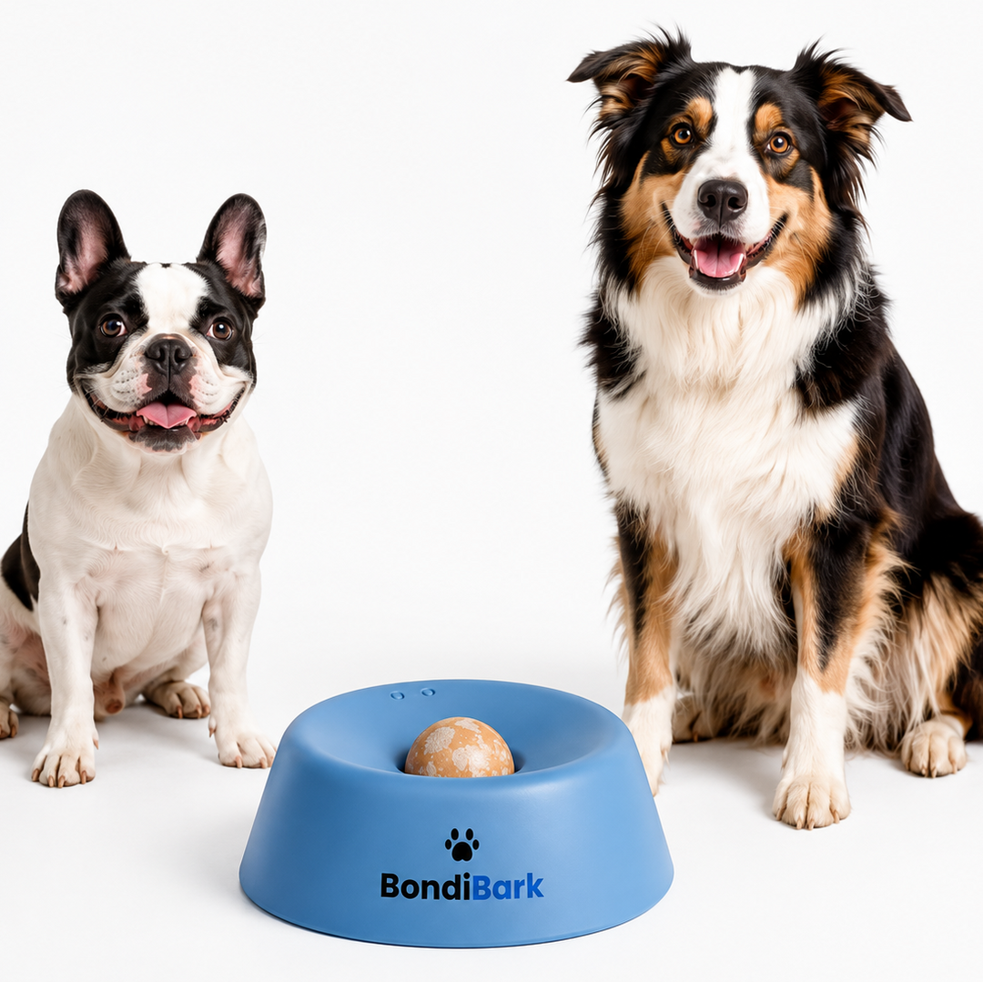 Enrichment Bowl